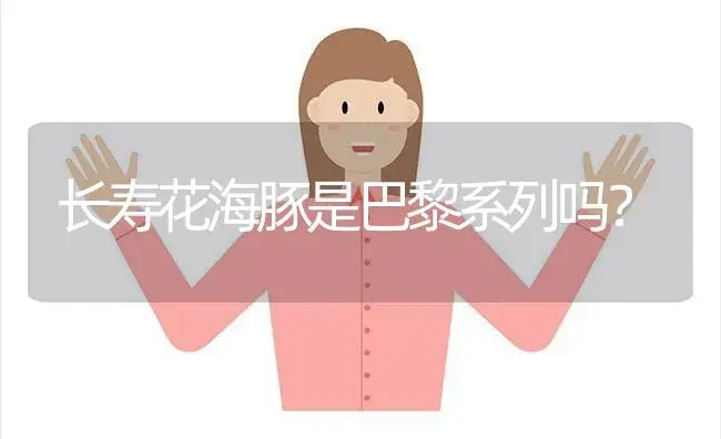 长寿花海豚是巴黎系列吗？ | 多肉养殖