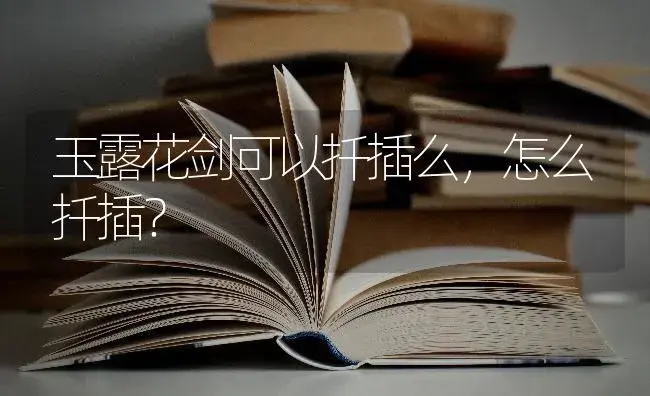 玉露花剑可以扦插么,怎么扦插？ | 多肉养殖