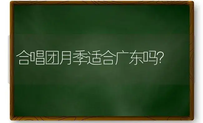 合唱团月季适合广东吗？ | 绿植常识