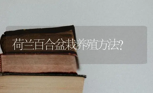 荷兰百合盆栽养殖方法？ | 绿植常识