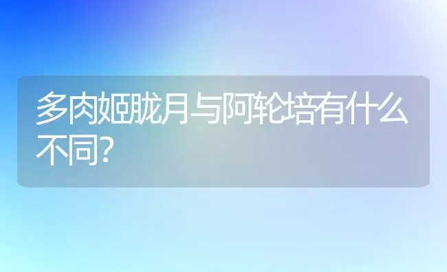 多肉姬胧月与阿轮培有什么不同？ | 多肉养殖