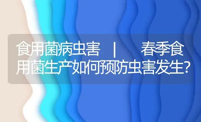 春季食用菌生产如何预防虫害发生？ | 菌菇种植