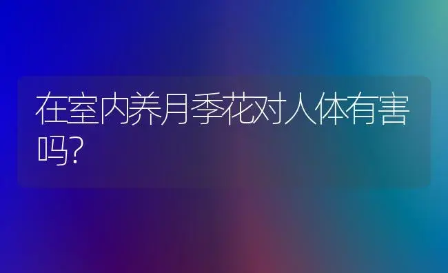 在室内养月季花对人体有害吗？ | 绿植常识