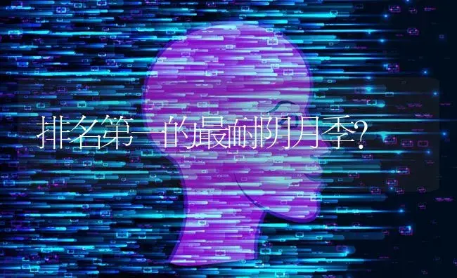 排名第一的最耐阴月季？ | 绿植常识