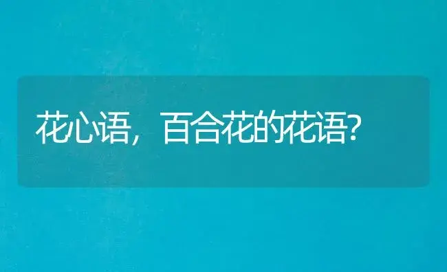 花心语，百合花的花语？ | 绿植常识