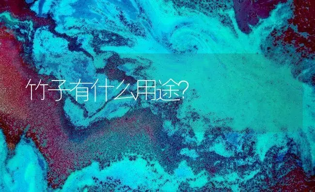 竹子有什么用途？ | 家庭养花