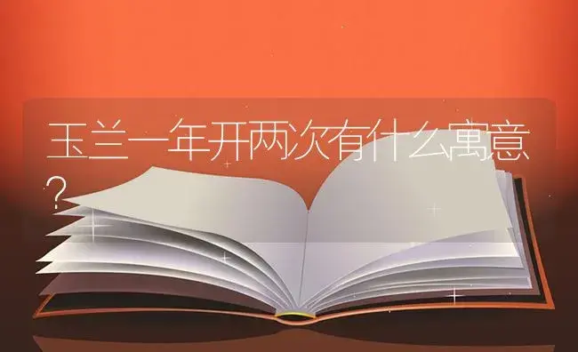 玉兰一年开两次有什么寓意？ | 绿植常识