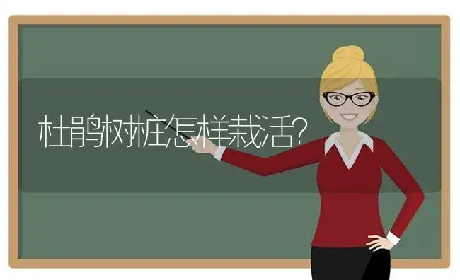 杜鹃树桩怎样栽活？ | 绿植常识