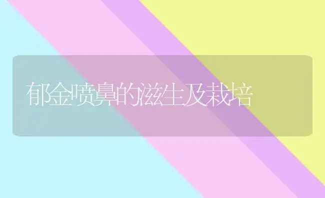 郁金喷鼻的滋生及栽培 | 家庭养花