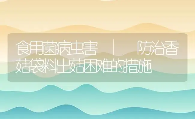 防治香菇袋料出菇困难的措施 | 菌菇种植