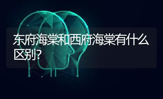 东府海棠和西府海棠有什么区别？ | 绿植常识