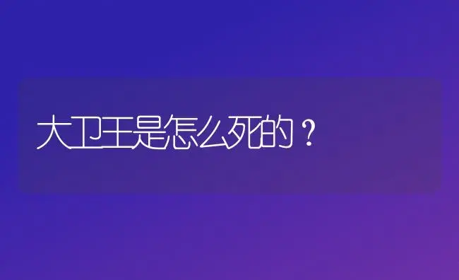 大卫王是怎么死的？ | 多肉养殖