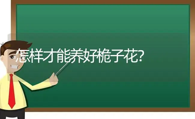 怎样才能养好桅子花？ | 绿植常识