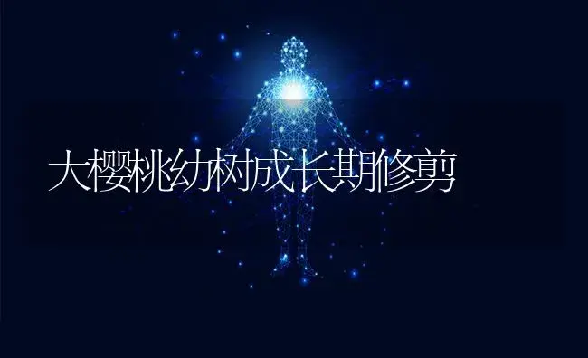 大樱桃幼树成长期修剪 | 特种种植