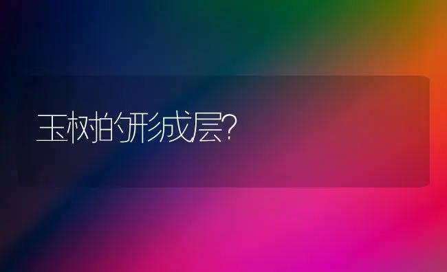 玉树的形成层？ | 多肉养殖