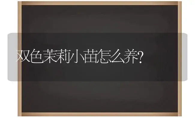 双色茉莉小苗怎么养？ | 绿植常识