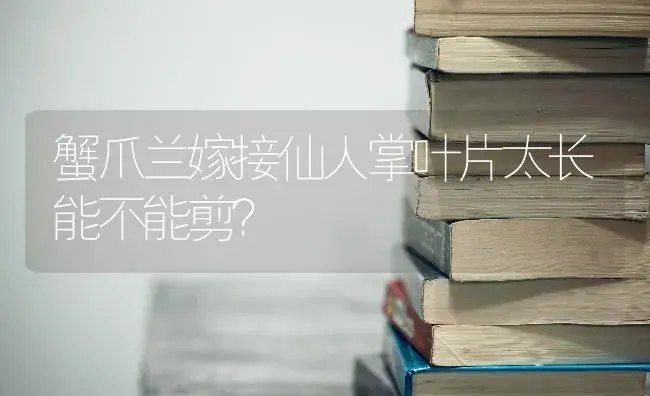 蟹爪兰嫁接仙人掌叶片太长能不能剪？ | 多肉养殖