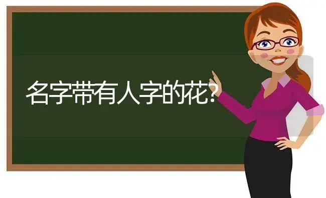 名字带有人字的花？ | 多肉养殖