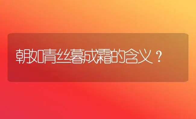 朝如青丝暮成霜的含义？ | 多肉养殖