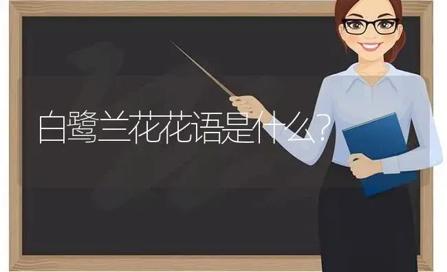 兰花的外形描写30字？ | 绿植常识