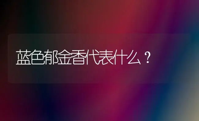 蓝色郁金香代表什么？ | 绿植常识