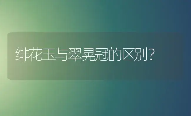 绯花玉与翠晃冠的区别？ | 多肉养殖