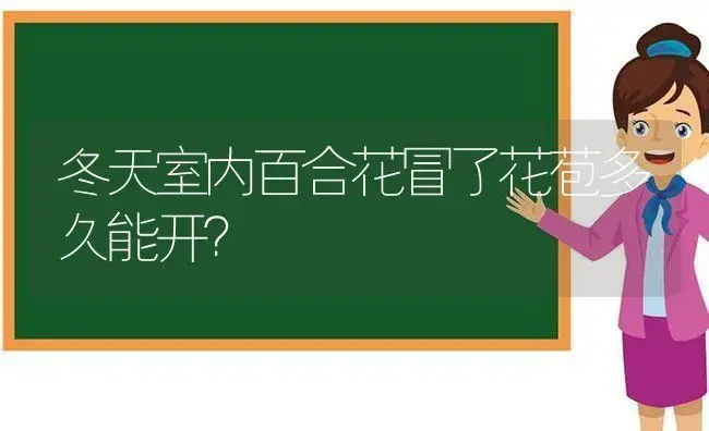 冬天室内百合花冒了花苞多久能开？ | 绿植常识