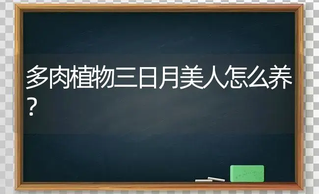 多肉植物三日月美人怎么养？ | 多肉养殖