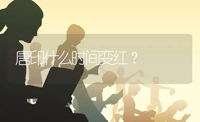 唐印什么时间变红？ | 多肉养殖