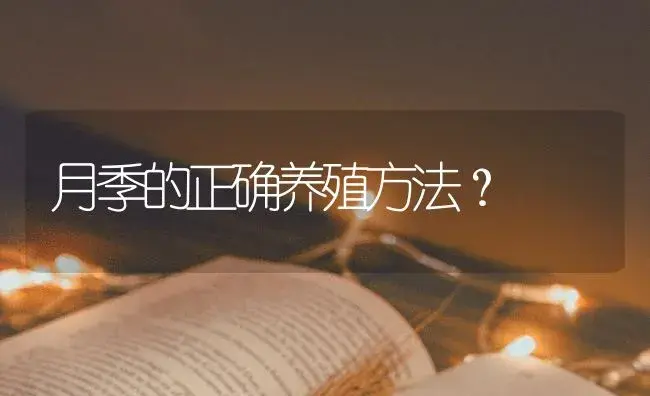 月季的正确养殖方法？ | 绿植常识