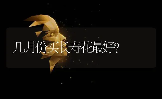 几月份买长寿花最好？ | 多肉养殖