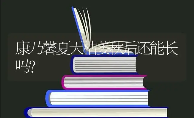 康乃馨夏天枯萎秋后还能长吗？ | 绿植常识