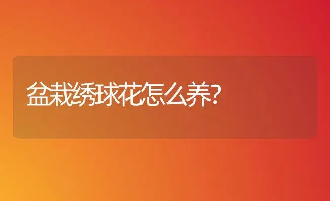 盆栽绣球花怎么养？ | 家庭养花