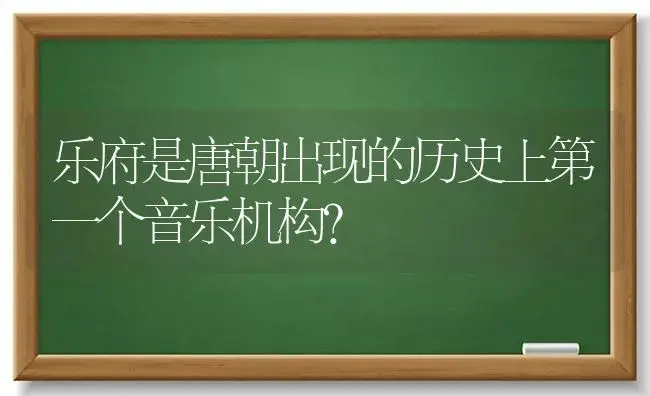 乐府是唐朝出现的历史上第一个音乐机构？ | 多肉养殖