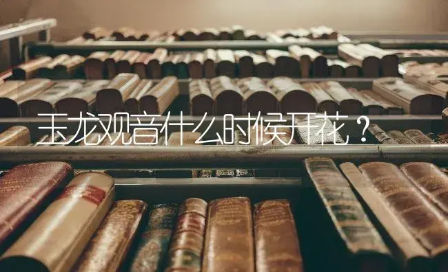 玉龙观音什么时候开花？ | 多肉养殖