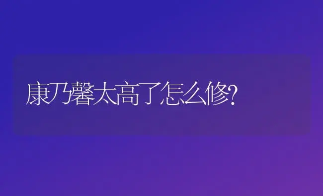 康乃馨太高了怎么修？ | 绿植常识