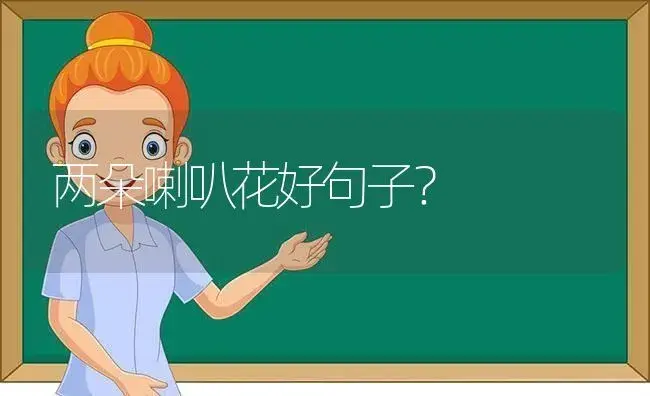 两朵喇叭花好句子？ | 绿植常识