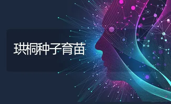 珙桐种子育苗 | 特种种植