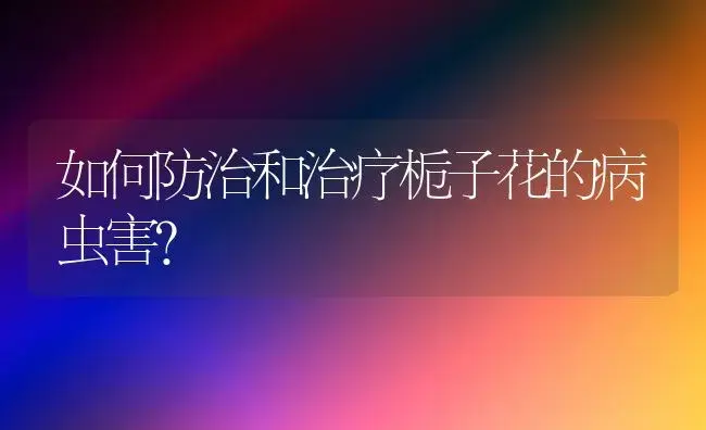 如何防治和治疗栀子花的病虫害? | 家庭养花