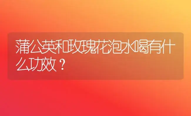 蒲公英和玫瑰花泡水喝有什么功效？ | 绿植常识