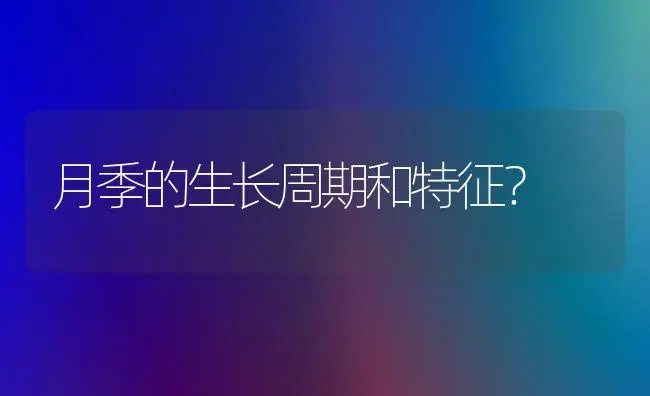 月季的生长周期和特征？ | 绿植常识