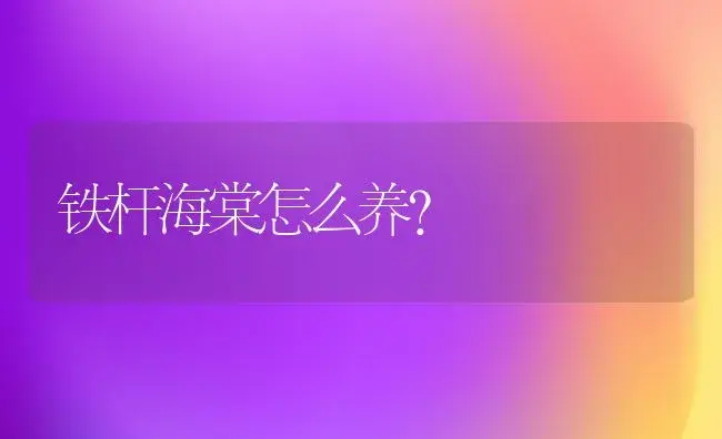 铁杆海棠怎么养？ | 绿植常识