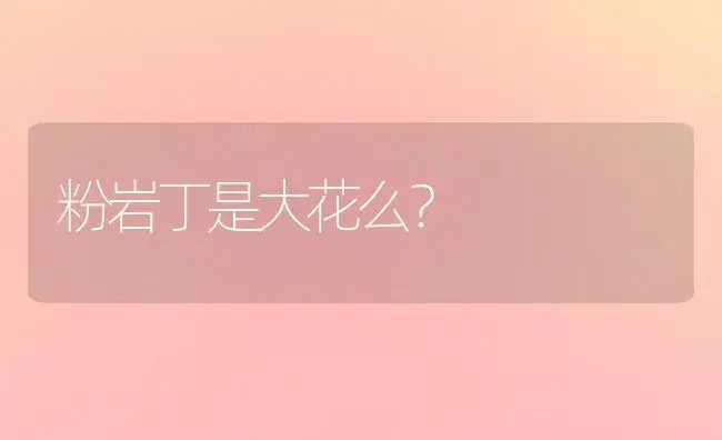 粉岩丁是大花么？ | 多肉养殖