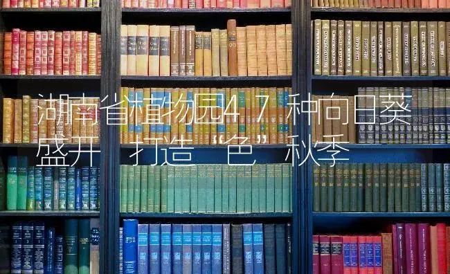 湖南省植物园47种向日葵盛开 打造“色”秋季 | 特种种植