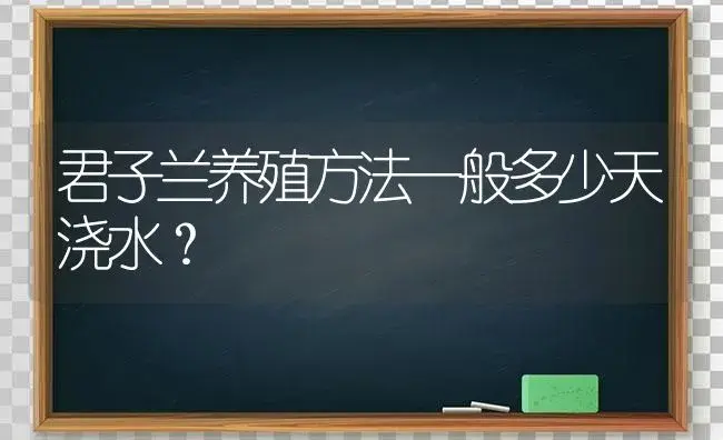 君子兰养殖方法一般多少天浇水？ | 绿植常识