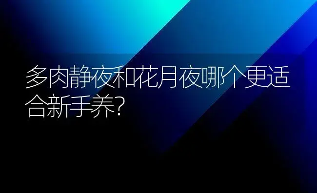 多肉静夜和花月夜哪个更适合新手养？ | 多肉养殖