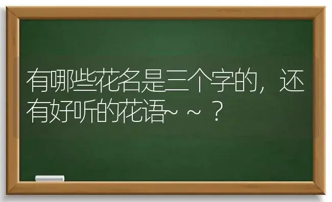 有哪些花名是三个字的，还有好听的花语~~？ | 绿植常识