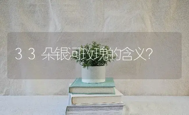 33朵银河玫瑰的含义？ | 绿植常识