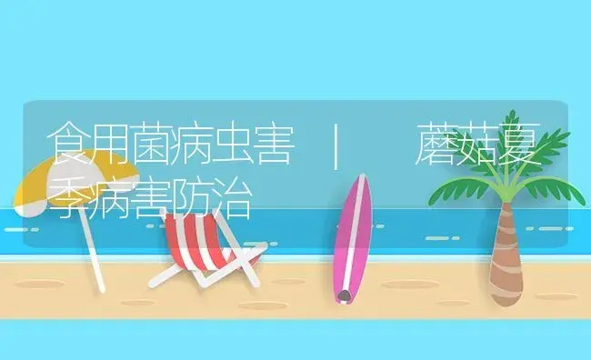 蘑菇夏季病害防治 | 菌菇种植