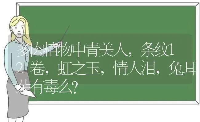 多肉植物中青美人,条纹12卷,虹之玉,情人泪,兔耳朵有毒么？ | 多肉养殖